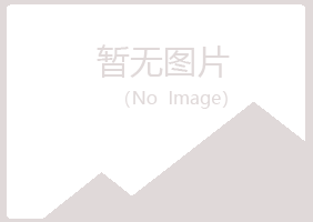 雅安夜山会计有限公司